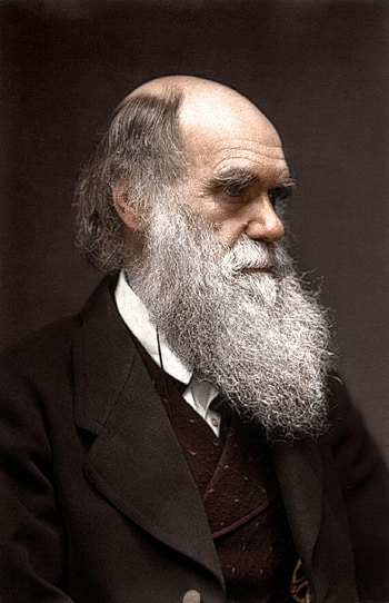 Charles Darwin, Evolutionary biologist, Naturalist, Scientific theory HD phone wallpaper
