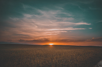Nature, Sunset, Grass, Sky, Field HD wallpaper
