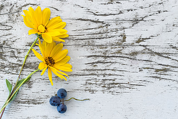 Flowers, Grapes, Surface HD wallpaper