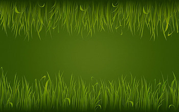 Grass, Background, Pattern, Texture, Lines, Textures HD wallpaper