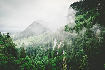 Nature, Trees, Mountains, Summer, Fog HD wallpaper
