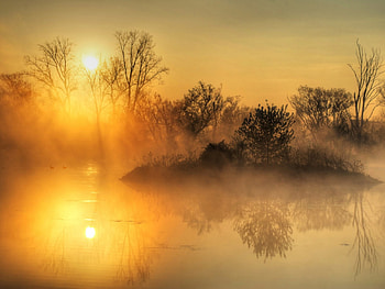 Tree, Sun, , Reflection, Water HD wallpaper