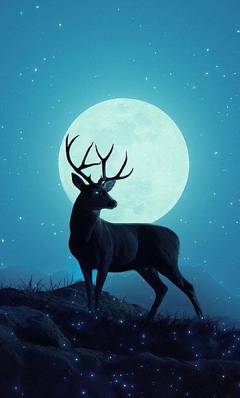 Reindeer minimal sky, 6 HD phone wallpaper