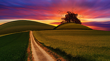 Sunset Hillside, hillside, nature, grass, roads, sunset HD wallpaper