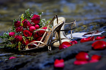 Flowers, Roses, Petals, Bouquet, Romance, Shoes HD wallpaper
