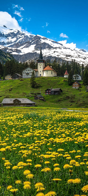 Canton of Uri, mountain, alps, man made, village HD phone wallpaper