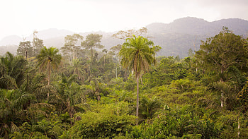 Gabon Travels, Gabon , African adventure, Explore Gabon HD wallpaper