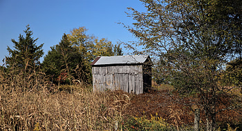 Shed, graphy, fall HD wallpaper