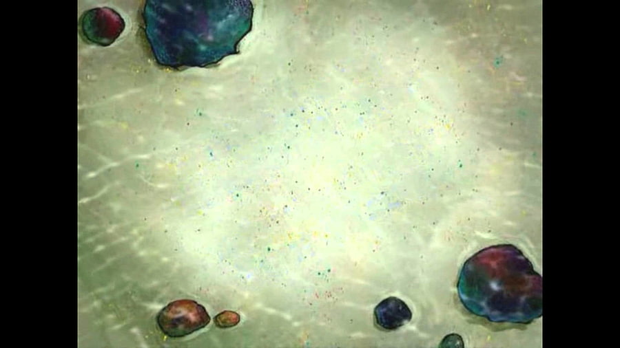 Spongebob Background HD wallpaper