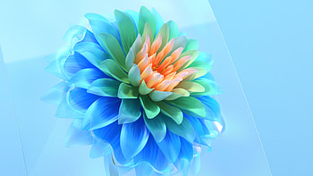 Abstract-Flower, Abstract, art, CG, Flower HD wallpaper