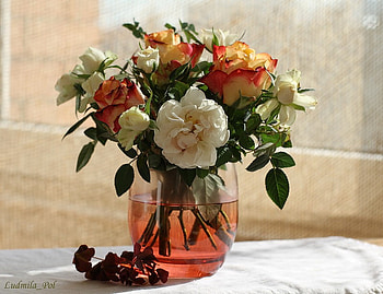 still life, bouquet, graphy, roses, beautiful, nice, elegant, rose, flower, cool, flowers HD wallpaper