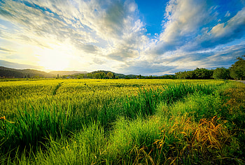 landscape, sunset HD wallpaper