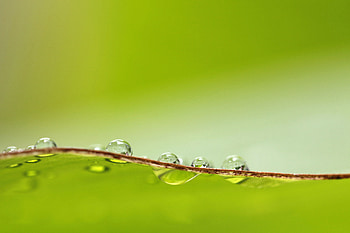 Drops, Macro, Wet, Surface HD wallpaper
