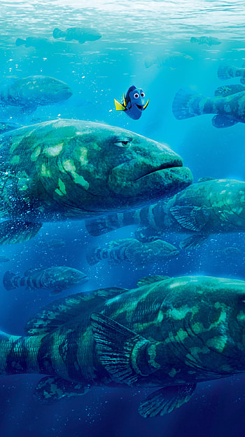 Finding Dory (2022) movie HD phone wallpaper