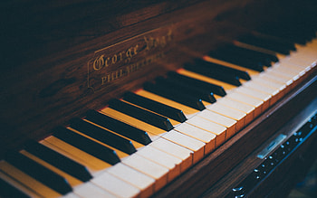 Musical instruments, Artistic expression, Samantha's collection HD wallpaper