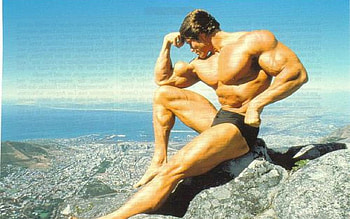 arnold, people, actors- HD wallpaper