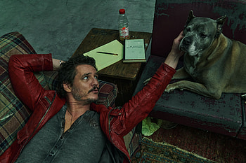 Laid-Back Star & Loyal Dog —, Celebrity, Pedro Pascal HD wallpaper
