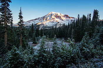 Mt Rainier National Park, usa, washington, snow, landscape, montain, trees, sky HD wallpaper