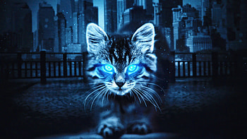 Cat Glowing Eyes , cat, animals, artist, artwork, digital-art HD wallpaper