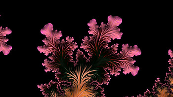 Trippy Psychedelic Fractal, dark, pink, black, artistic, Abstract, fractal, abstract black HD wallpaper