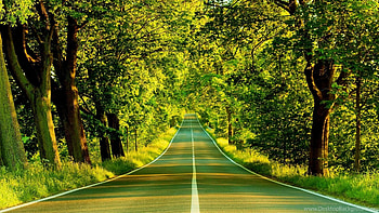 nature high quality, High Resolution HD wallpaper