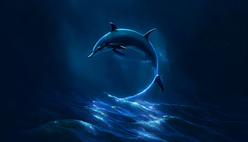 Night: Dolphin jumping in the sea, underwater, sea, Animal, dolphin HD wallpaper