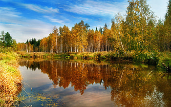 Landscape, Rivers, Trees, Autumn HD wallpaper