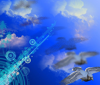 Victor Rainbow, rainbow, water, victor software HD wallpaper