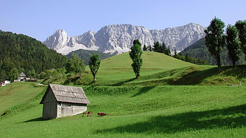austria, fun, field, trees, nature, mountains HD wallpaper