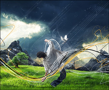 Trying To Change My Luck !!!, abstract, graphy, luck, man, green, pigeon, dark HD wallpaper