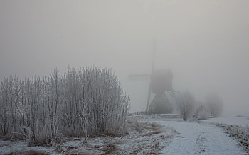 Winter, Nature, Snow, Bush, Fog, Hoarfrost, Frost, Haze, Mill HD wallpaper