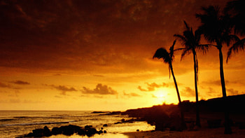 Nature And Summer Time HD wallpaper