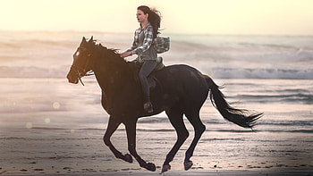 Black Beauty 2020, Inspiring tale, Graceful steeds, Connection with nature HD wallpaper