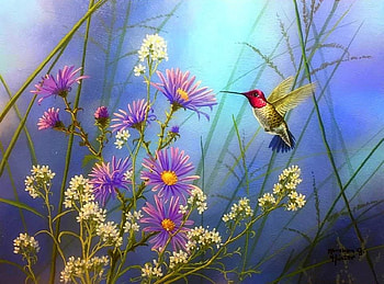 Sugar Rush, birds, wild flowers, attractions in dreams, paintings, spring, love four seasons, animals, hummingbird, nature HD wallpaper