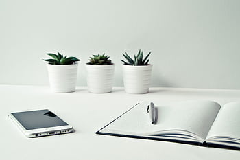 A clean, minimalist workspace featuring a smart, open notepad, pen, and potted succulents. HD wallpaper