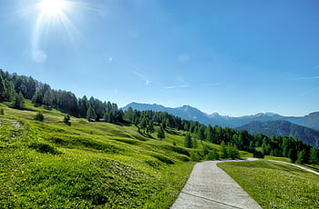 Tranquil mountain landscape with a sunny pathway, vibrant greenery, and majestic peaks. HD wallpaper