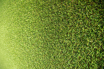 Nature, Grass, Stadium HD wallpaper