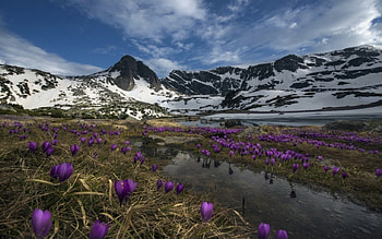 Mountain, river, water, snow HD wallpaper