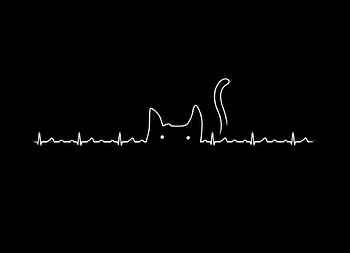 Aesthetic Black Cat Header - Novocom.top, Aesthetic Black Cats HD wallpaper