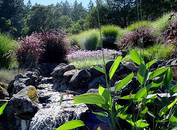 Water stream, nature, water HD wallpaper