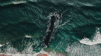 Nature, Water, Sea, View From Above, Coast, Breakwater HD wallpaper