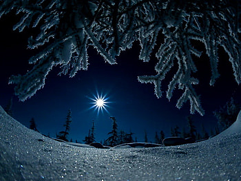 Cold winter night, winter, night, moon, light, cold, nature HD wallpaper