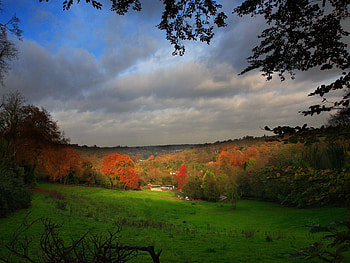 Nature, Trees, Clouds, Field, Settlement, Hamlet HD wallpaper