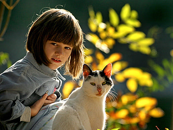 friendship, girl, cat, friends HD wallpaper
