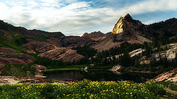 Lake Blanche, Utah, wildflowers, clouds, landscape, sky, flowers, rocks, usa HD wallpaper