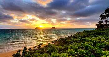 Oahu, Hawaii overlooking the Mokulua Islands, palms, sea, coast, usa, clouds, trees, sky, sun, sunset HD wallpaper