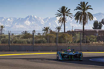 Sports, Trees, Races, Palms, Asphalt, Fence, Track, Racer, Route, Formula 1, Formula One, Bolide HD wallpaper