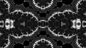 Trippy Psychedelic Fractal, trippy, psychedelic, aesthetic, black, white, Abstract, fractal, abstract black HD wallpaper