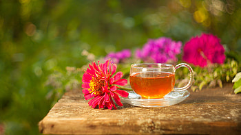 Tea, nature, flowers, drink HD wallpaper