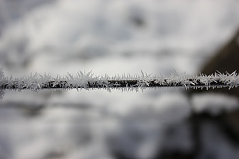 Macro, Frost, Hoarfrost, Metal, Metallic, Wire, Crystals, ze HD wallpaper